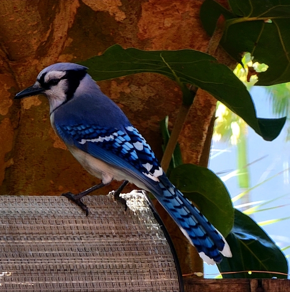 Meet your Posher, Lisa - Picture 7 of 7